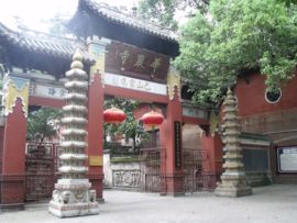 云游之路主播照片