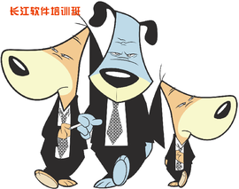 软件教学主播照片