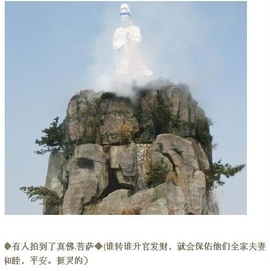 河池~小酒~阿东主播照片