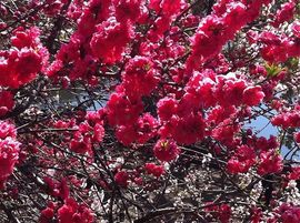 ™酱油哥主播照片