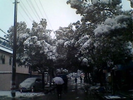 黄鹤楼粤语之王主播照片