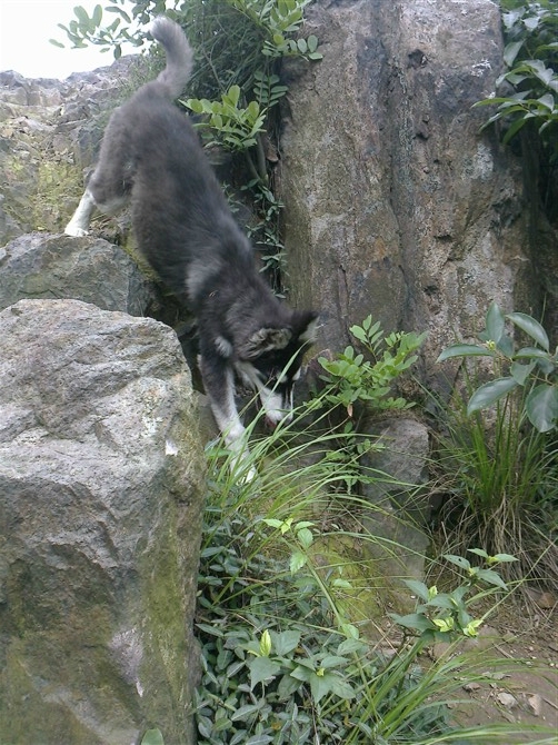 ๑۩莲۞禅۩๑的主播照片