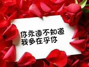 和【猪】尚的主播照片