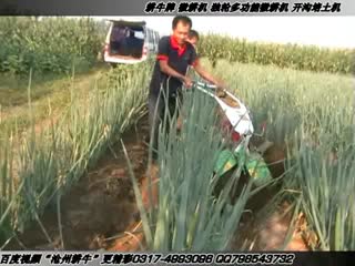 大葱开沟培土机