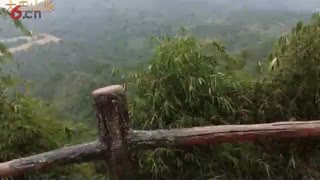 江山无限--袁洪亮生态景观艺术培训学校B