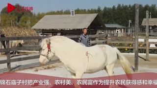 辽宁盘锦石庙子村