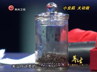 贵州养生李忠讲治哮喘中药方 小虫药具有神奇功效