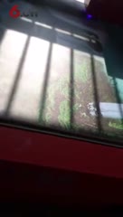 竹木纤维板打印