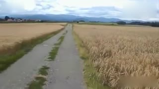 收获的喜悦