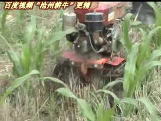 微耕机45公分除草刀垄间中耕锄地
