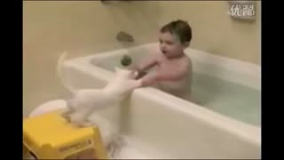 笑翻了！逗比主人你玩猫还是被猫玩？