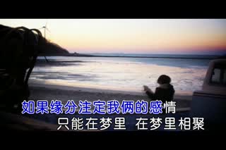 : 网络神曲-王素言-今世缘分