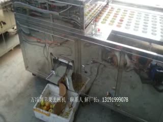 苹果去核机-沧州万顷
