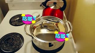 萌星人de那些破事爆笑!动物界的逗比蠢萌！