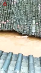 二师兄被水冲走了