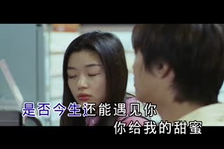 孙博—今世情缘 国语 双轨DVD