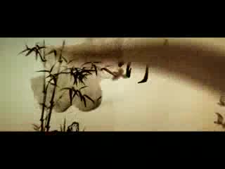 振奋人心：美妃黛儿，崛起中国力量！