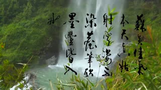 书法家顾典章——宣传片
