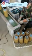 金针菇杏鲍菇菌种双冲压接袋机