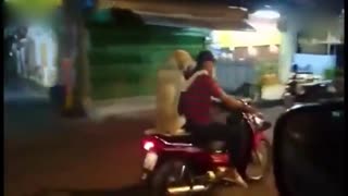 我帮主人拿雨伞