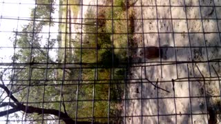 VID_20140918_144052