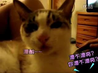 壹品网超朝着它的方向坚持下去就会触碰到成功的曙光