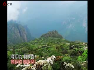【瑶寨欢歌】春风春雨到瑶山