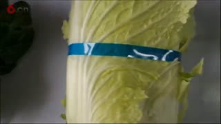 甘鲁束带机全自动打包机捆扎蒜薹韭菜大葱芹菜油麦菜菠菜长豆角演示
