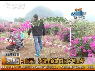 桂林花海---桂林电视台报道