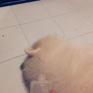 鸳鸯茶呀鸳鸯茶，你爱我呀我爱你。。。嗯？下雨了？
