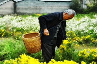 敬老祝福——百年岁月 风雨人生 百慕三石《白仙鹤》