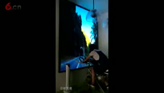 风力自行车骑行漫游单车 互动骑行 互动单车