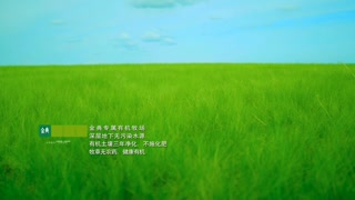 专属有机魅力——揭秘最好的有机奶