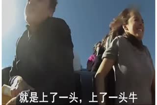 上你不如上牛，哈哈哈
