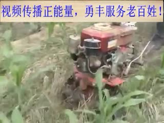勇丰柴油松土除草机在玉米田松土