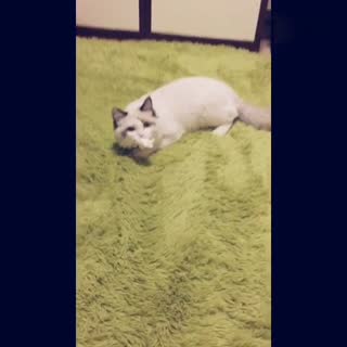 他为什么如此喜欢我挖鼻屎的纸