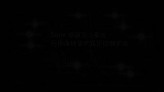 新蒙迪欧功能视频详细介绍—SONY 高级音响系统后排座椅音响娱乐控制系统21