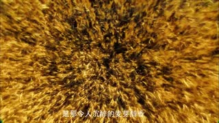 雪花·第一酿造首站走进亚洲最大啤酒厂