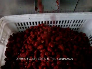 万顷牌红枣去核机-沧州万顷