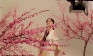 巴掌脸迷死人_细数娱乐圈拥有完美脸型的女神