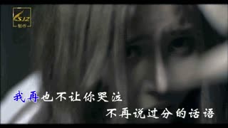 何宗龙-再也不让你伤心  卡拉ok-无遮版.mp4