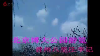 北京博大公园游览
