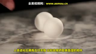 分分钟涨知识！我们身体的奥秘