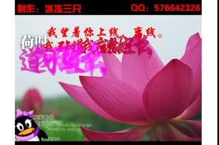 我在QQ上望着你