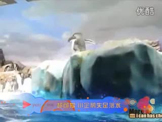 壹品网超让你的人生因为电商创业精彩万分