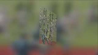 杭州一高校新生军训引入“匕首操”