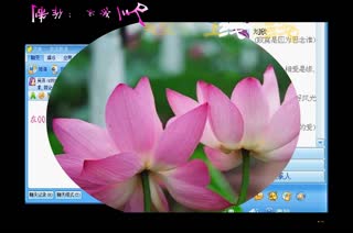 我在QQ上偷望着你