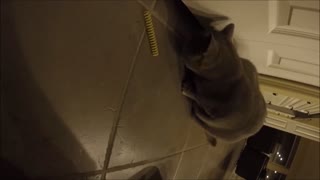 和Teemo一起玩弹簧哟