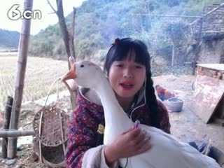六间房热门女主播东方不败哪秀high歌