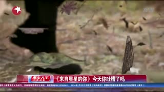 《来自星星的你》今天你吐槽了吗鑫华阳光